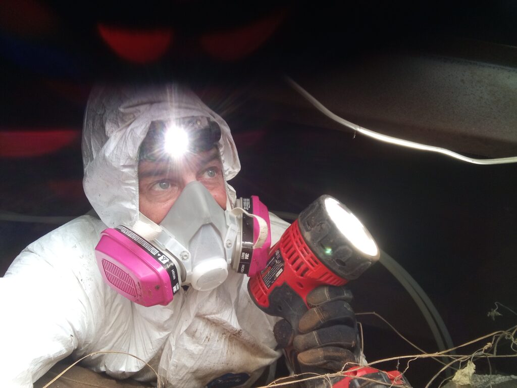 IN-DEPTH Home Inspector, San Diego - Foundation Inspection